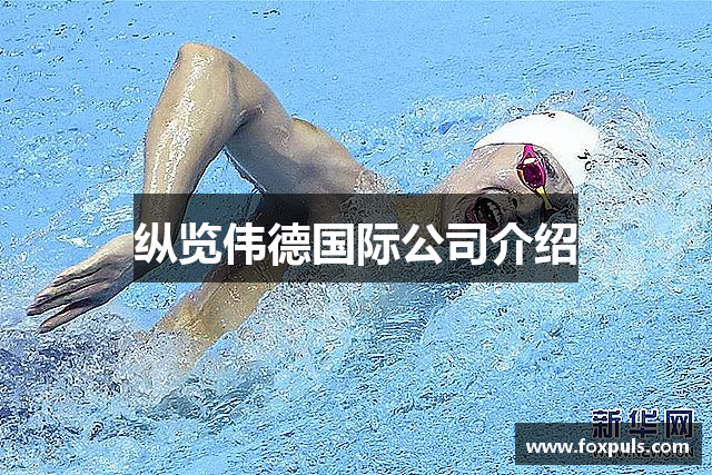 纵览伟德国际公司介绍